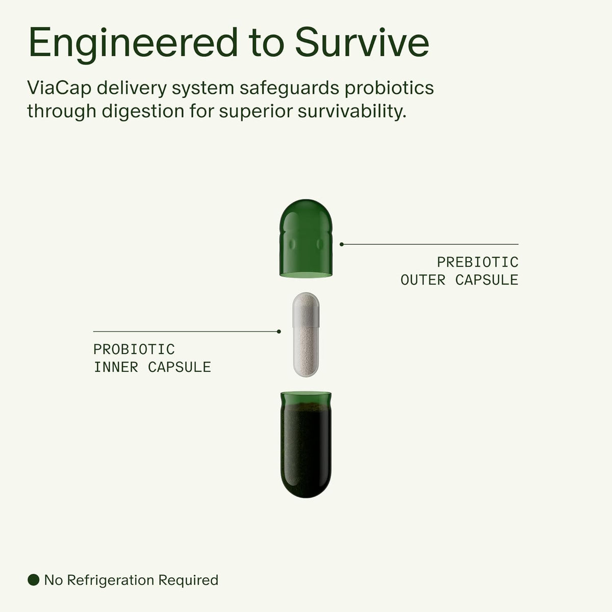Daily Synbiotic